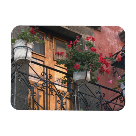 Architectuur op straat van San Miguel de Magneet (Horizontaal)