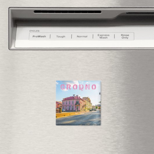 Architectuur van de stad Belarus Grodno Cityscape Magneet (Insitu (Vaatwasser))