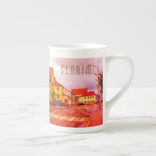 Architectuur van de stad Belarus Slonim Porselein Kop (Rechts)