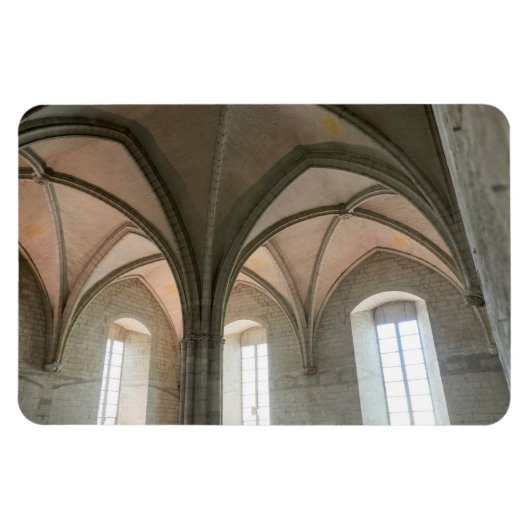 Architectuur van het Pauselijk Paleis Magneet (Horizontaal)