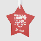 Architectuurstudent Geen leven of geld Ornament (voorkant)