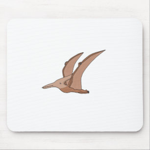 Archosaurs Pterosaur Muismat
