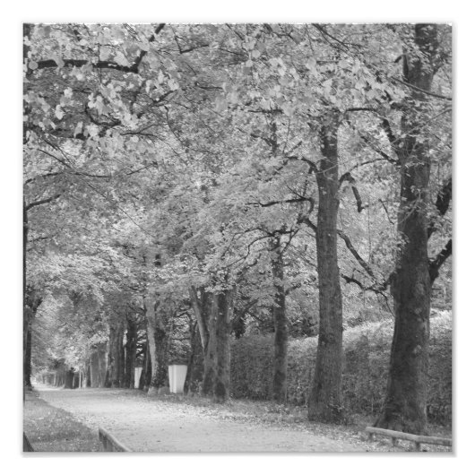 "Archway" fotoprint Foto Afdruk (Voorkant)