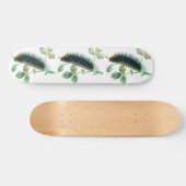 Arctia caja persoonlijk skateboard (Horizontaal)