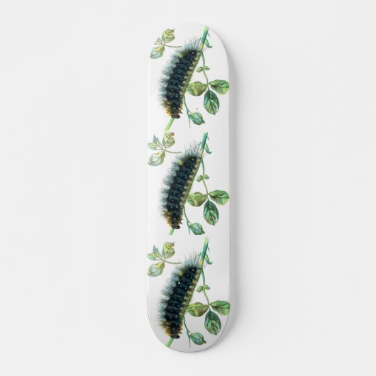Arctia caja persoonlijk skateboard (Voorkant)