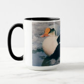 Arctic Alaska Waterfowl King Eider Male Foto Mok (Links)