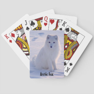 Arctic Alaskan White Fox Winter Pose Speelkaarten