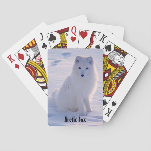 Arctic Alaskan White Fox Winter Pose Speelkaarten (Achterkant)
