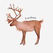 Arctic Animals Educational Poster