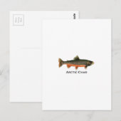  Arctic Char Illustration - Breeding Male Briefkaart (Voorkant / Achterkant)