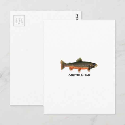  Arctic Char Illustration - Breeding Male Briefkaart (Voorkant / Achterkant)