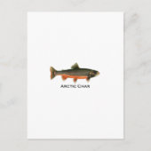  Arctic Char Illustration - Breeding Male Briefkaart (Voorkant)