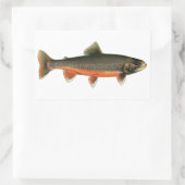  Arctic Char Illustration - Breeding Male Rechthoekige Sticker (Tas)
