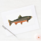  Arctic Char Illustration - Breeding Male Rechthoekige Sticker (Envelop)