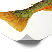 Arctic Char in Spawning Colors Poster (Hoek)