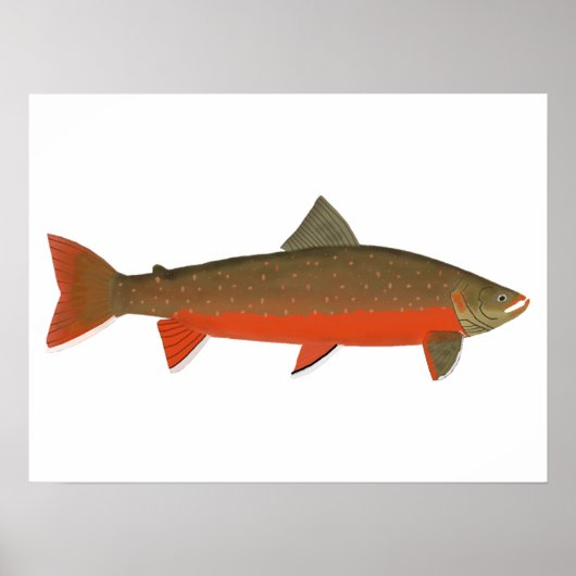 Arctic Char Poster (Voorkant)