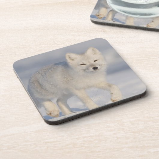 Arctic Fox, Alaska Bier Onderzetter (Linkerzijde)