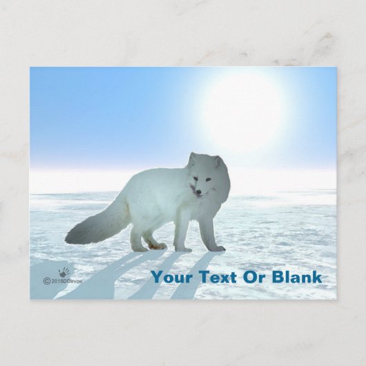 Arctic Fox Briefkaart (Voorkant)