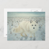 Arctic Fox Briefkaart (Voorkant / Achterkant)