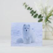 arctic fox-briefkaart briefkaart (Staand voorkant)