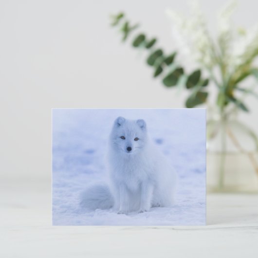arctic fox-briefkaart briefkaart (Staand voorkant)