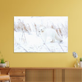 Arctic Fox Canvas Afdruk (Insitu (Woonkamer))