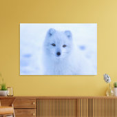 Arctic Fox Canvas Afdruk (Insitu (Woonkamer))