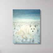 Arctic Fox Canvas Afdruk (Voorkant)