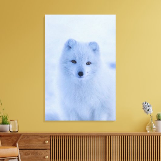 Arctic Fox Canvas afdrukken (Insitu (Woonkamer))