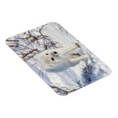 Arctic Fox, Churchill Wildlife Management Area Magneet (Rechterzijde)