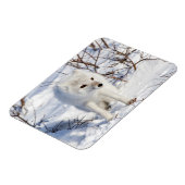 Arctic Fox, Churchill Wildlife Management Area Magneet (Linkerzijde)