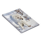 Arctic Fox, Churchill Wildlife Management Area Notitieboek (Rechterzijde)