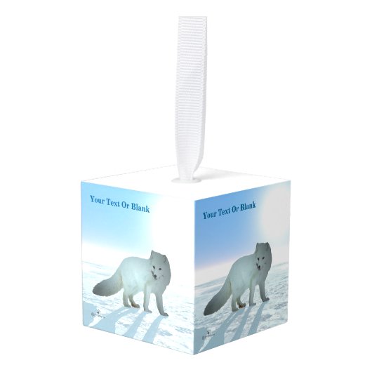 Arctic Fox Decoratie (Voorkant hoekig)