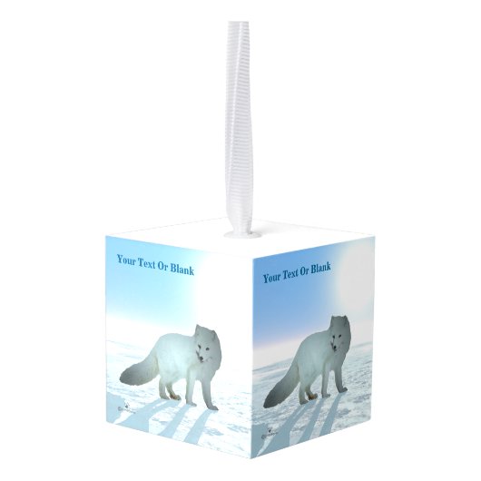 Arctic Fox Decoratie (Achter hoekig)