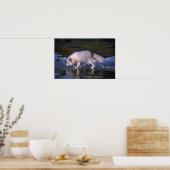 Arctic Fox-foerage langs de ijzeren rivier Poster (Keuken)