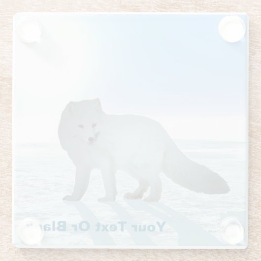 Arctic Fox Glazen Onderzetter (Achterkant)