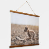 Arctic Fox Hangend Wandkleed (Gebogen)