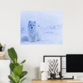 Arctic Fox, IJsland Poster (Thuiskantoor)