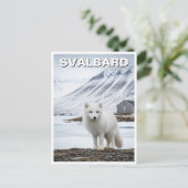 Arctic Fox in Svalbard Norway Briefkaart (Staand voorkant)