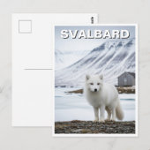 Arctic Fox in Svalbard Norway Briefkaart (Voorkant / Achterkant)