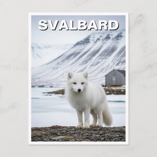Arctic Fox in Svalbard Norway Briefkaart (Voorkant)
