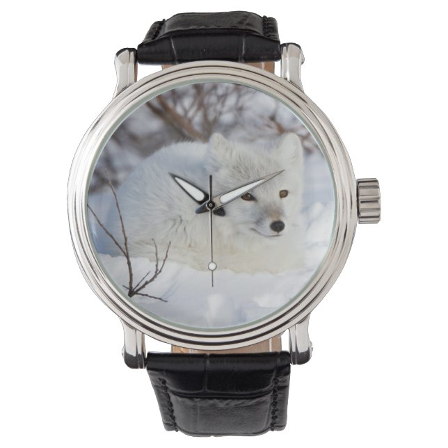 Arctic Fox in winter Horloge (Voorkant)