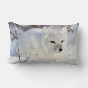 Arctic Fox in winter Kussen