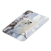 Arctic Fox in winter Magneet (Linkerzijde)