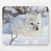 Arctic Fox in winter Muismat (Voorkant)
