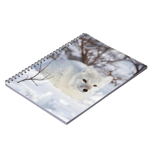 Arctic Fox in winter Notitieboek (Linkerzijde)