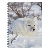 Arctic Fox in winter Notitieboek (Voorkant)