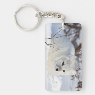 Arctic Fox in winter Sleutelhanger