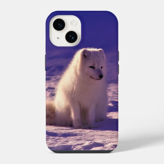 Arctic Fox iPhone Hoesje (Achterkant)