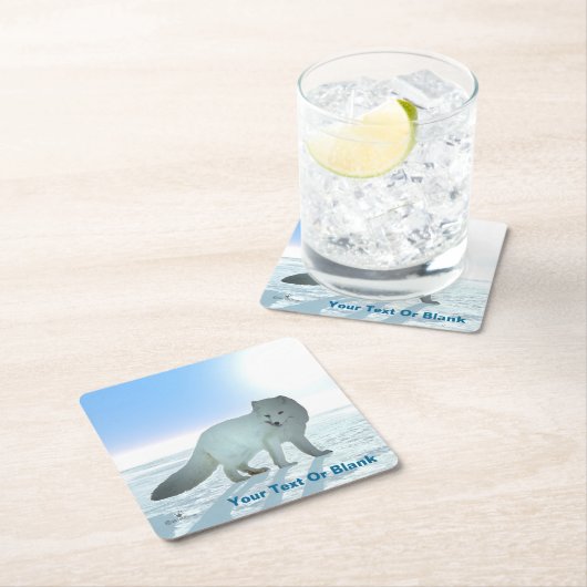 Arctic Fox Kartonnen Onderzetters (Insitu)